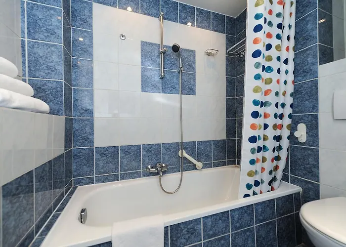 Halevy 5 Stars House شقة نيس
