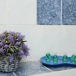 Halevy 5 Stars House * Nizza
